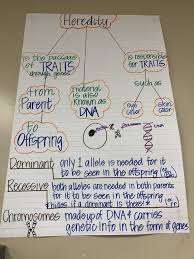 Heredity Anchor Chart Science Classroom Decorations