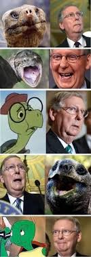 Mitch mcconnell + turtle face melt = : Mitch Mcconell Is A Piece Of Shit