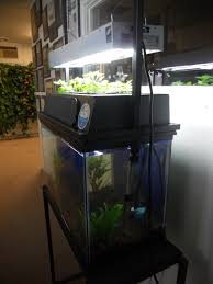 our new aquaponics system good earth
