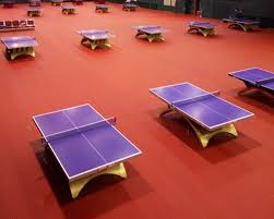 red pvc indoor table tennis flooring