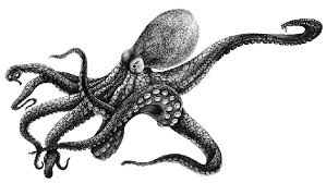 Octopussy [wiki monitoring-fr.org]
