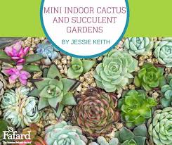 Indoor Cactus And Succulent Gardens
