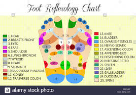 Reflexology Chart Stock Photos Reflexology Chart Stock