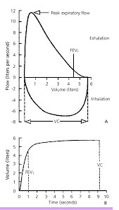Normal Spirometric Flow Diagram A Flow Volume Curve B