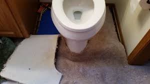 albuquerque toilet install and carpet