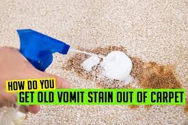 remove dried cat vomit from carpet