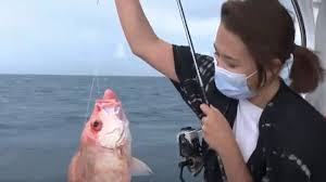 Cara mancing kakap putih di siang hari : Menyantap Ikan Segar Hasil Pancingan Sendiri Di Pulau Seribu