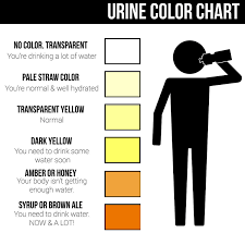 urine color chart what color is