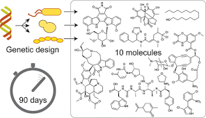 A Pressure Test To Make 10 Molecules In