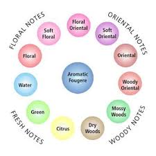 Picture Of Fragrance Wheel Perfume Classification Chart