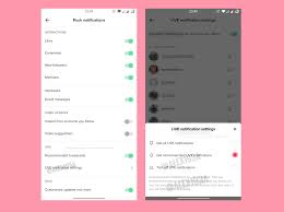 Here's how to do it! Tiktok Tests A New Feature That Will Notify You When A User You Follow Goes Live Digital Information World