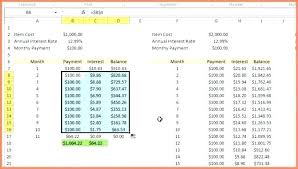 Credit Card Amortization Spreadsheet Multiple Credit Card Payoff