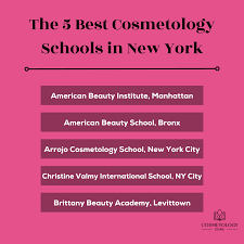 5 best cosmetology s in new york
