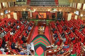 Image result for national assembly kenya
