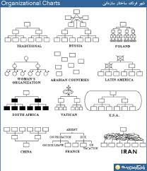 1 Describe The Type Of Organization The Chart Is Dealing