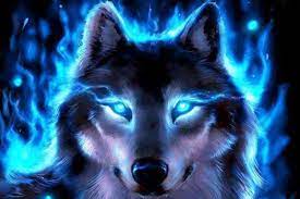 cool wolf wallpapers top free cool