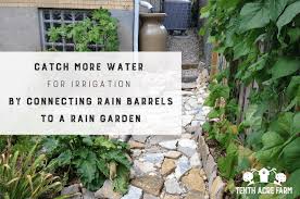 Rain Barrels To A Rain Garden