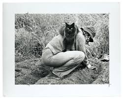 photos of famous artists their cats from smithsonian s archive photos of famous artists their cats from smithsonian s archive artsy