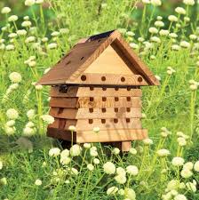 Interactive Solitary Bee Hive Flip Top