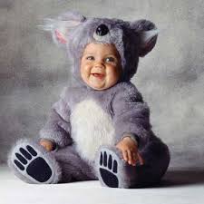 Halloween Presents Tom Arma Koala Baby Halloween Costumes Costume Costumes