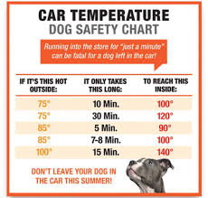 Car Temperature Dog Safety Chart Common Sense Evaluation