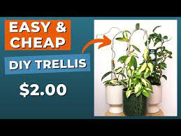Easiest Indoor Plant Trellis Diy Step