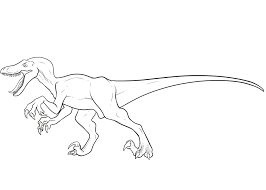 Select from 35919 printable coloring pages of cartoons, animals, nature, bible and many more. Raptor Coloring Pages Coloring Home