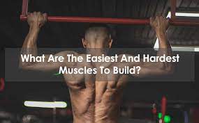 hardest muscles