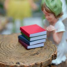 Fairy Garden Accessories Mini Books