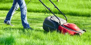 lawn mower servicing advice