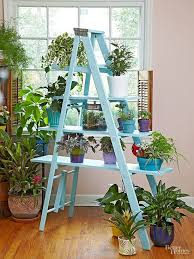 Ladder Decor Indoor Plant Pots