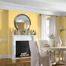 Spirited Yellow Matte Interior Paint