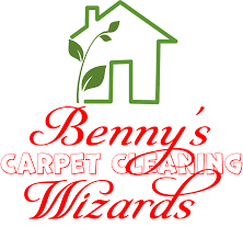 carpet cleaning wizards are back