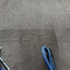 carpet cleaning near kingston wa