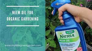 Neem Oil For Organic Gardening My