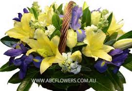 Maybe you would like to learn more about one of these? Abc Flowers Fitzroy Melbourne Ba002 Cremorne A Basket Flower Arrangement Of White Roses Yellow Lilies White Flowers And Purple Flowers Free Delivery Melbourne Inner Suburbs