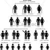 Family structure