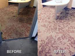 pro green carpet clean upholstery