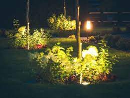 Does Night Lighting Harm Trees