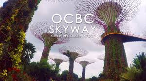 ocbc skyway supertrees observatory