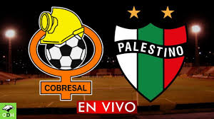 Goal over 2.75,corner over 9.0,cobresal +0.75 Cobresal Vs Palestino Cobresal No Pudo Con Palestino En El Salvador Everything You Need To Know About The Primera Chile Match Between Cobresal And Palestino 24 September 2020 Humantraffic Nancy