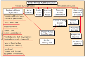 Critical Thinking in Nursing Practice  Nursing Assessment  Nursing  Diagnosis  Planning Nursing Care SlideShare