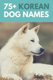 So firstly you are going to pick a name to consider pet proprietors, here we have narrow down your choices from 3000 korean puppy names. 75 Korea Inspired Dog Names Tae Kwon Doggo Dog Names Girl Pet Names Dog Names Male