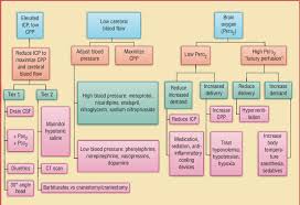 Flow Chart Of Hemodynamic Related Therapy Integrates The