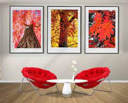 Posters Autumn Trees Prints Framed
