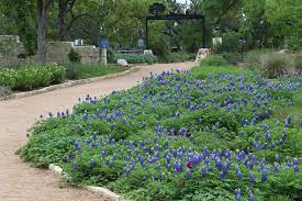 10 Beautiful Gardens Of Austin Texas