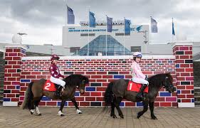Ideal home show christmas 2021 view tickets march 2022. The Horse Shows Will Go On Big Changes For Hickstead Olympia Horsetalk Co Nz