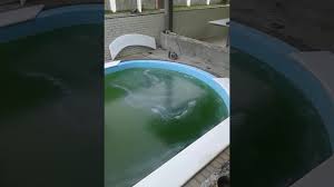 • aquarium impermeabilizante 900ml bellinzoni• superfícies de aplicação: Piscina Segura Para Crianca Com Marmore Na Borda Da Piscina Youtube