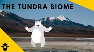 the tundra biomes of the world you