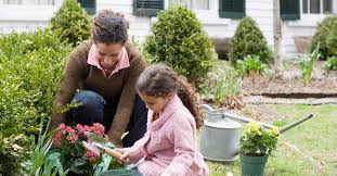 How Gardening At Home Helps The Environment